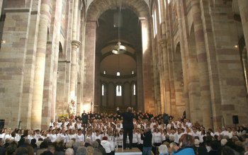 Konzert: Baden schaut über den Rhein 2016 © Domsingschule